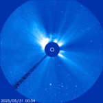 halocme31.5.25
